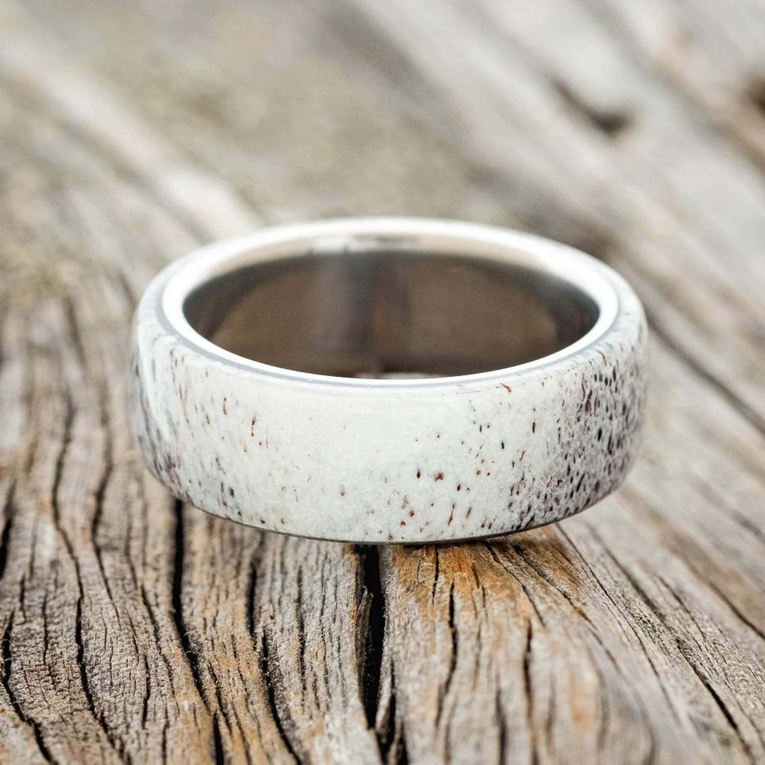 "HAVEN" - ANTLER WEDDING BAND - Image 3